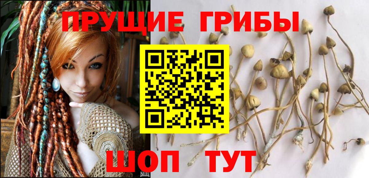 Галлюциногенные грибы MAGIC MUSHROOMS Урай