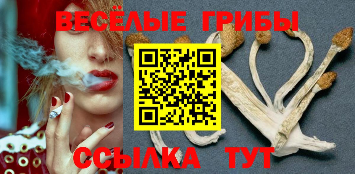 Галлюциногенные грибы GOLDEN TEACHER  Вход с VPN  купить  цена  Галлюциногенные грибы Magic Shrooms  Урай 